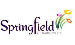Spring Field 1